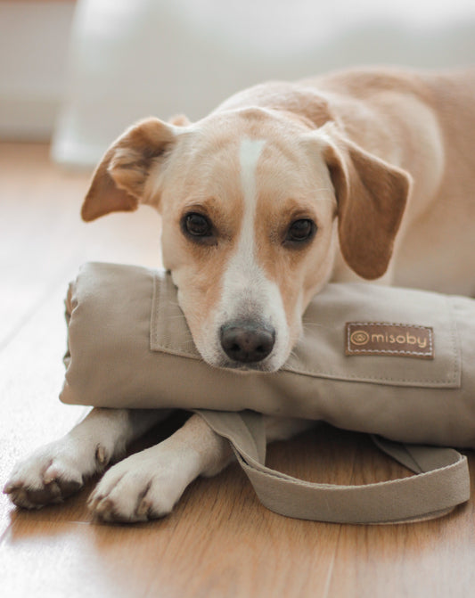 Reisedecke misoby - Hund