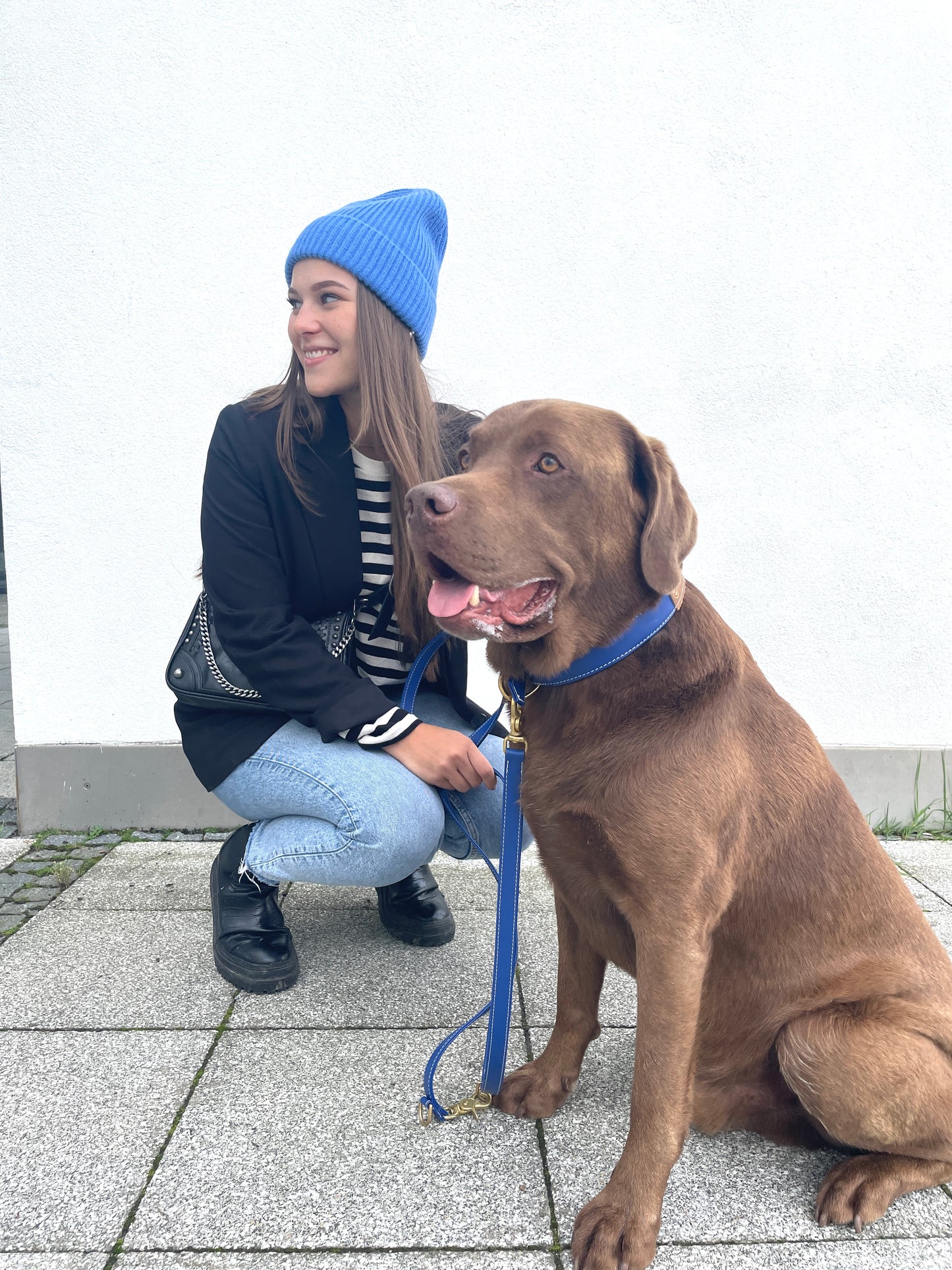 misoby Hundehalsband