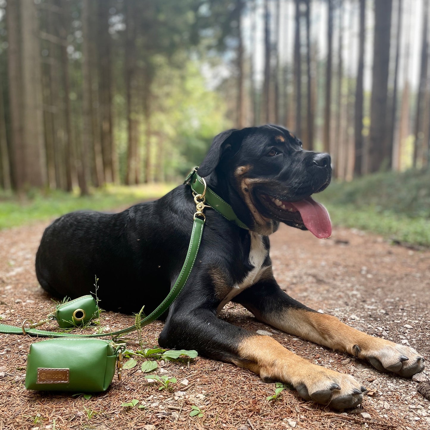 misoby Kotbeutelspender, Hund im Wald